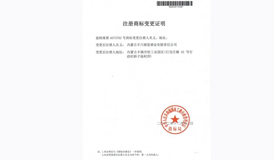 无形资产